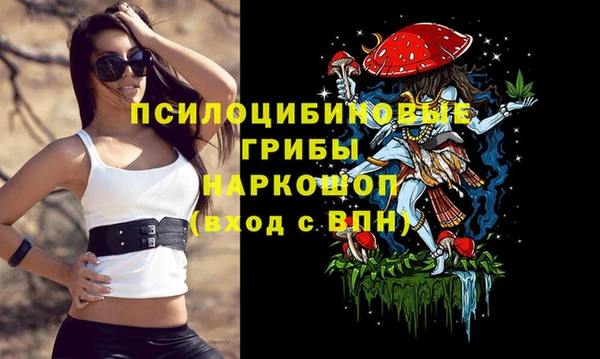 дживик Алексеевка