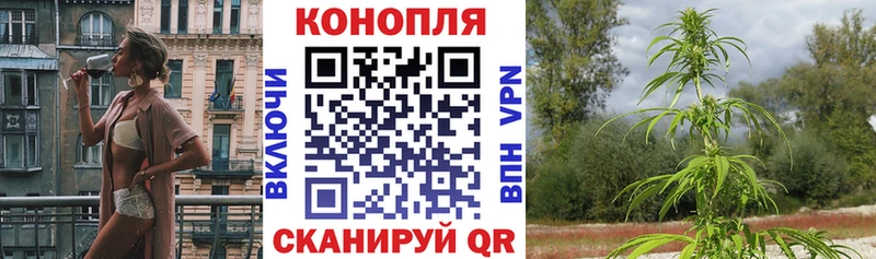 Бошки Шишки сатива  omg зеркало  Енисейск 